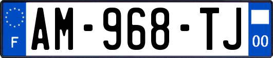 AM-968-TJ