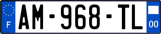 AM-968-TL