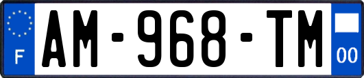 AM-968-TM