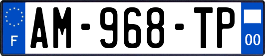 AM-968-TP