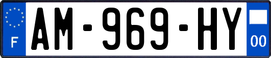 AM-969-HY