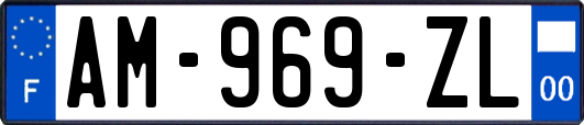 AM-969-ZL