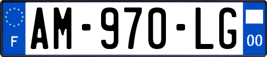 AM-970-LG