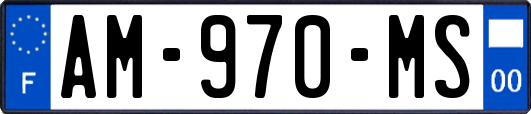 AM-970-MS