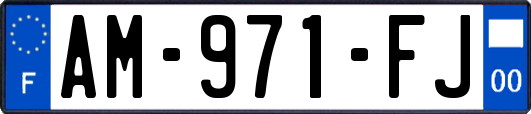 AM-971-FJ