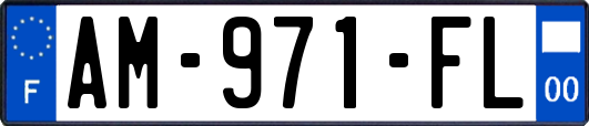 AM-971-FL