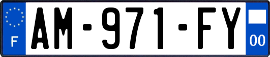 AM-971-FY