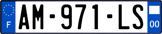 AM-971-LS