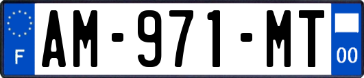 AM-971-MT