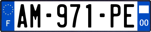 AM-971-PE
