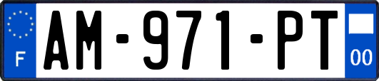 AM-971-PT