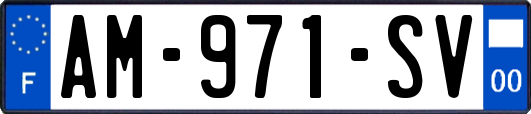 AM-971-SV