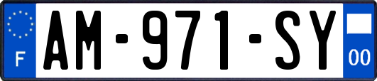 AM-971-SY