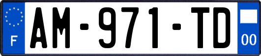 AM-971-TD