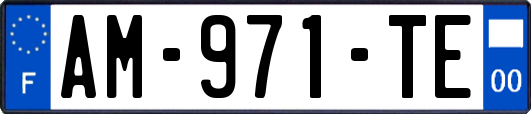 AM-971-TE