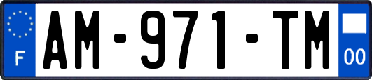 AM-971-TM