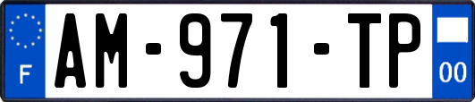 AM-971-TP