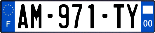 AM-971-TY