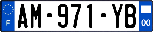AM-971-YB