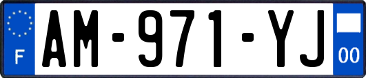 AM-971-YJ