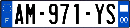 AM-971-YS