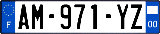 AM-971-YZ