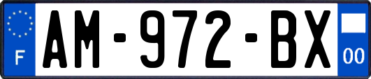 AM-972-BX