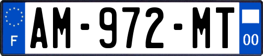 AM-972-MT