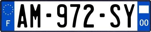 AM-972-SY