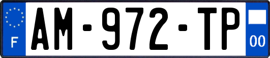 AM-972-TP