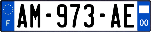 AM-973-AE