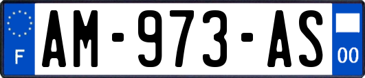 AM-973-AS