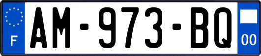 AM-973-BQ