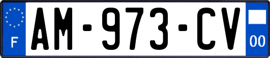 AM-973-CV