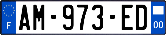 AM-973-ED