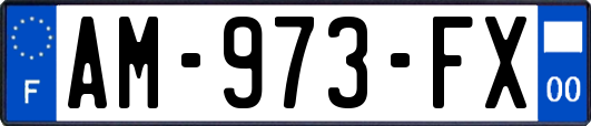 AM-973-FX