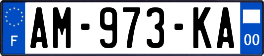 AM-973-KA