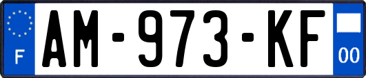 AM-973-KF