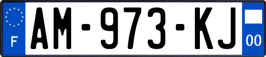 AM-973-KJ