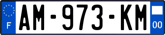 AM-973-KM
