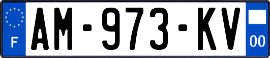 AM-973-KV
