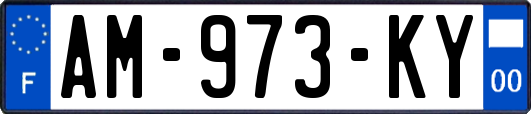 AM-973-KY