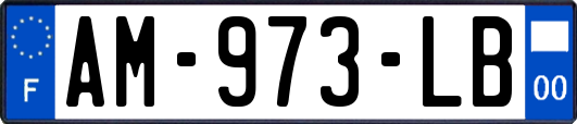 AM-973-LB