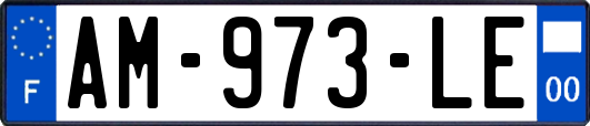 AM-973-LE