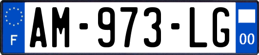 AM-973-LG