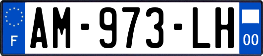 AM-973-LH