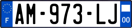 AM-973-LJ