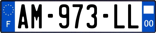 AM-973-LL
