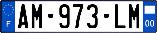 AM-973-LM