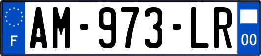 AM-973-LR